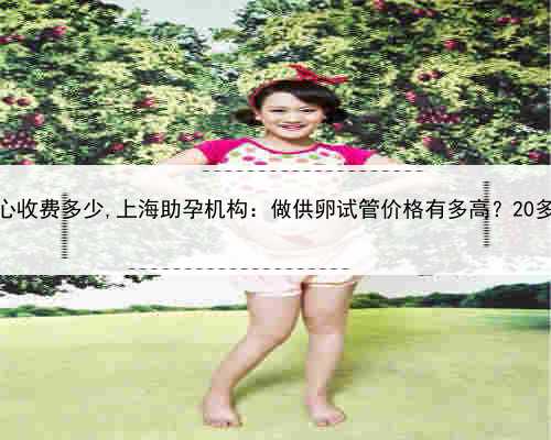 上海供卵中心收费多少,上海助孕机构：做供卵试管价格有多高？20多万够不够？