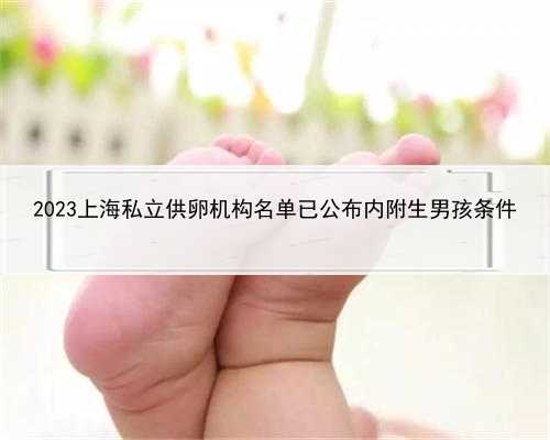 2023上海私立供卵机构名单已公布内附生男孩条件