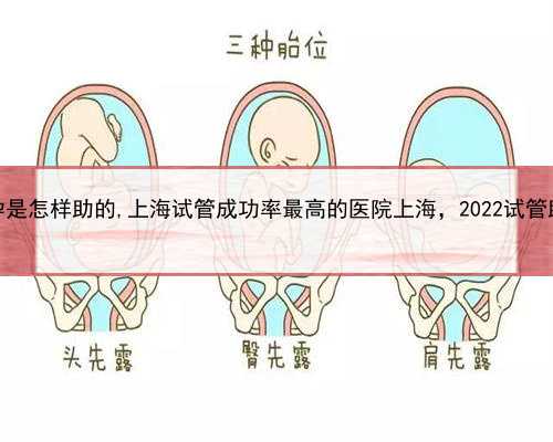 上海助孕是怎样助的,上海试管成功率最高的医院上海，2022试管助孕详细
