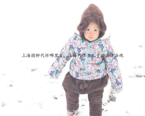 上海捐卵代怀哪里有，上海代怀生儿子的法律法规