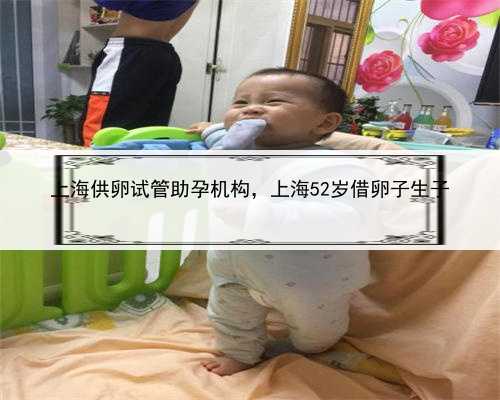 上海供卵试管助孕机构，上海52岁借卵子生子