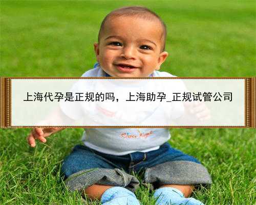 上海代孕是正规的吗，上海助孕_正规试管公司